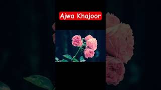 Ajwa Khajoor drfarhathashmi dates khajoor ajwakhajoor islam allah dua deen shorts tasbih [upl. by Panthia]