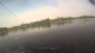 Brook Trout Fishing in Conche Newfoundland [upl. by Riancho]