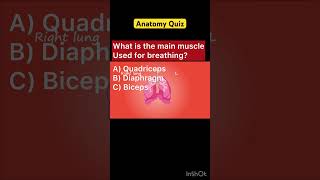 Anatomy Quiz🤔🥰 diaphragm breathing learningwithpurvi youtubeshorts learning [upl. by Leodora585]