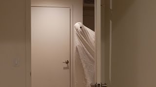 when your roommate is a ghost [upl. by Eb]