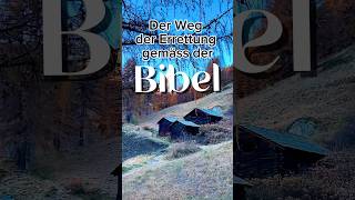 Der biblische Rettungsweg neuesleben ewigesleben hopebringer [upl. by Odlopoel378]