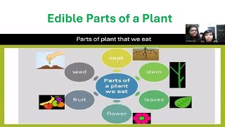 Edible Parts of Plants Different parts of plants that we eat as vegetables Science  EVS [upl. by Ruckman647]