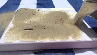 DIY Sand Art Canvas [upl. by Ettelloc]