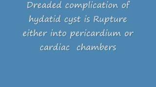 Hydatid Cyst  A rare echocardiographic observation [upl. by Cheffetz]