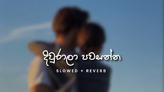 Centigradz  දිවුරාලා පවසන්න Slowed  Reverb [upl. by Eizzil]