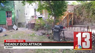 Police Large group of dogs attacked Albany man to death [upl. by Llewop]