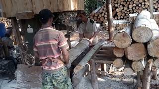 Satisfying Video wood Cutting Indonesian sawmill [upl. by Templer]