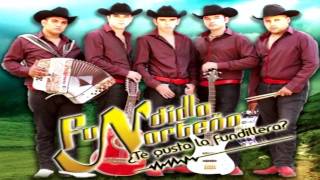 Fundillo Norteño El Antrax Party Estudio 2011 [upl. by Sufur]