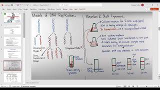 Prokaryotic DNA Replication part1 [upl. by Soalokin464]