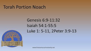 Messianic Torah Portion Noach [upl. by Annoid]