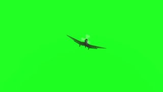 Plane Ju87A Stuka move 2 green screen [upl. by Anitrebla]