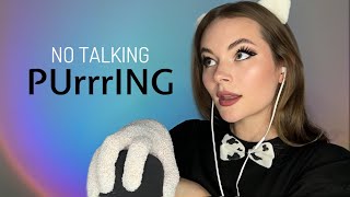 ASMR PURRING SOUNDS  tingles are 100 guaranteed [upl. by Flan]