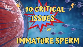 Immature Sperm What You Need to Know [upl. by Fryd]