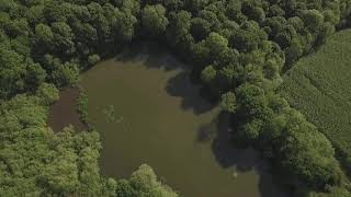 Aerial Foxstone Dam and Surrounding Area [upl. by Yraek286]