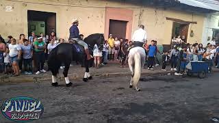 DESFILE HIPICO LEÓN NICARAGUA NOVIEMBRE 2024 [upl. by Haletta760]