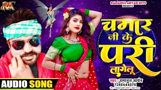 चमार जी के परी लागेलू Chamar Ji Ke Pari LageluRamanuj Aryan Bhojpuri Chamar Song 2024 [upl. by Ybhsa]