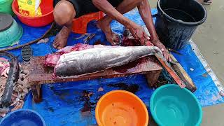 Big Fish Cutting at Malvan Beach [upl. by Burne]