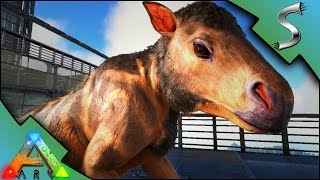 CHALICOTHERIUM BABY BREEDING  IMPRINTING  Ark Survival Evolved S2E70 [upl. by Hanae]