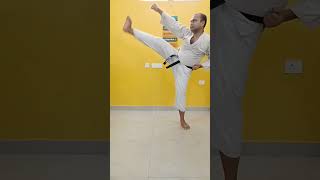 Block Side Kick and ElbowSlowkarate shorts trendingshorts kungfu taekwondo [upl. by Tombaugh191]