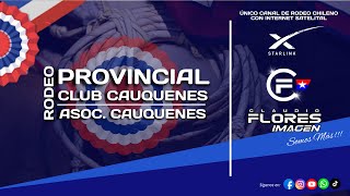 3ra SERIE LIBRE  RODEO PROVINCIAL  CLUB CAUQUENES  Asoc Cauquenes [upl. by Dloreh]