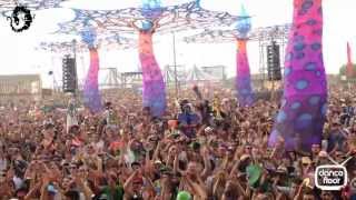 dancefloor Tv MARIO BIANI  ELROW STAGE MONEGROS DESERT FESTIVAL 2013 ELROW SHOW [upl. by Kisung981]