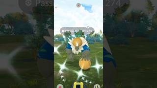 Shiny Passimian in Pokémon GO pokemongo [upl. by Merv]