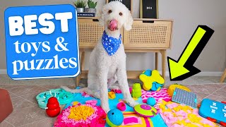 BEST Enrichment Toys amp Puzzles 👉 REVIEWED [upl. by Scharff700]