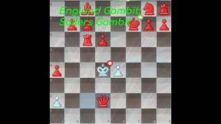 Englund Gambit Sollers Gambit and how to use it [upl. by Zzahc309]