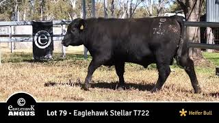 Lot 79 Eaglehawk Stellar T722 [upl. by Aiepoissac]