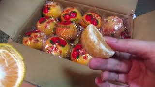 CNY Honey Mandarin Oranges Ponkan Unboxing  甜椪柑开箱 [upl. by Alleciram]