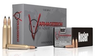 223 Handloads Preview Nosler Varmageddon and Moly Coating [upl. by Oswin]