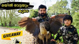 മയിലിനെ പിടിച്ചു പൊരിച്ചപ്പോൾ  PEACOCK HUNTING  BEST HUNTING  PEACOCK COOKING  FARMING TRENDING [upl. by Elletsirhc]