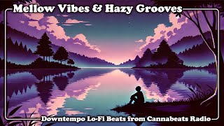 sunocom  High As Cloud 9  Instrumental Downtempo LoFi Music for Relaxing Cannabis Inspired [upl. by Niu]