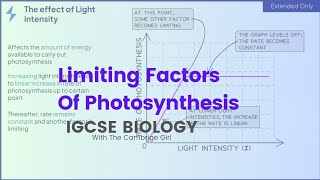 Limiting Factors of Photosynthesis IGCSE Biology thecambrigegirl [upl. by Aitsirk]