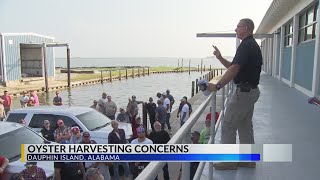 Oyster harvesters upset after AMRD closes fishing areas due to overharvesting [upl. by Simonne]