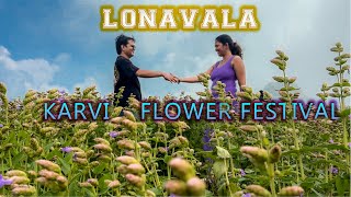 Truth of Karvi Flower Festival Lonavala  Complete Details [upl. by Lymann]