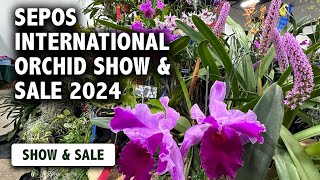 2024 SEPOS International Orchid Show amp Sale  Experience the LARGEST Orchid Show in the Northeast [upl. by Einned]