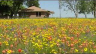 Texas Wildflowers  Tosellis Serenade Andre Rieu [upl. by Leumhs40]