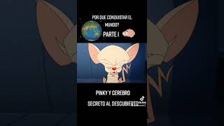 pinky y cerebro por que conquistar el mundo [upl. by Esiuqcaj]