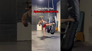 Mobility Exercises For Stronger Spinning Back Kicks mma kickboxing karate taekwondo [upl. by Sutherlan954]