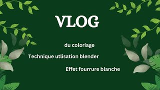 NOUVEAU VLOG  Technique blender  Effet fourrure blanche [upl. by Akinot]