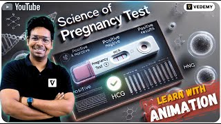 Science of Pregnancy Test with Animation  By Virendra Singh  CSIR  GATE  DBT  ICMR [upl. by Arodaeht]