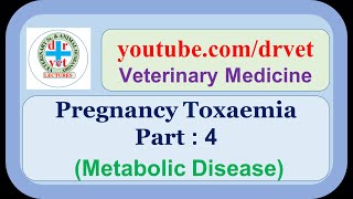 Pregnancy Toxaemia Part 4 [upl. by Fernas]