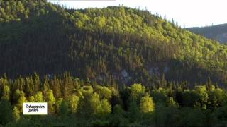 Québec le chant de la nature  Echappées belles [upl. by Wauters301]