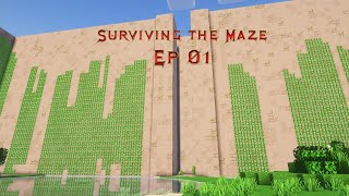 The Maze Ep 1 [upl. by Cohen]