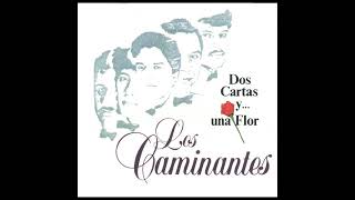 Los Caminantes  Jure No Tomar [upl. by Aniwde]