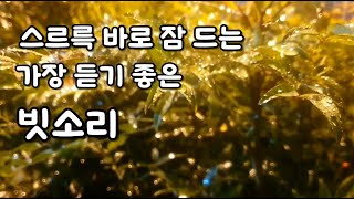 조용히 속삭이는 가을밤의 빗소리ㅣ10분 후 어두운 화면ㅣ이명 치료 효과ㅣ명상 집중 공부 whitenoise [upl. by Llertnek244]