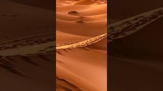 Los Desiertos ¡Un lugar Fascinante Desierto Calor curiosidades interesante shorts shortvideo [upl. by Blinni]