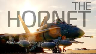 DCS quotTHE HORNETquot FA18C HORNET [upl. by Surat441]