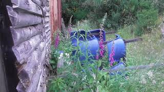 Strathpeffer rifle club site [upl. by Ancel448]